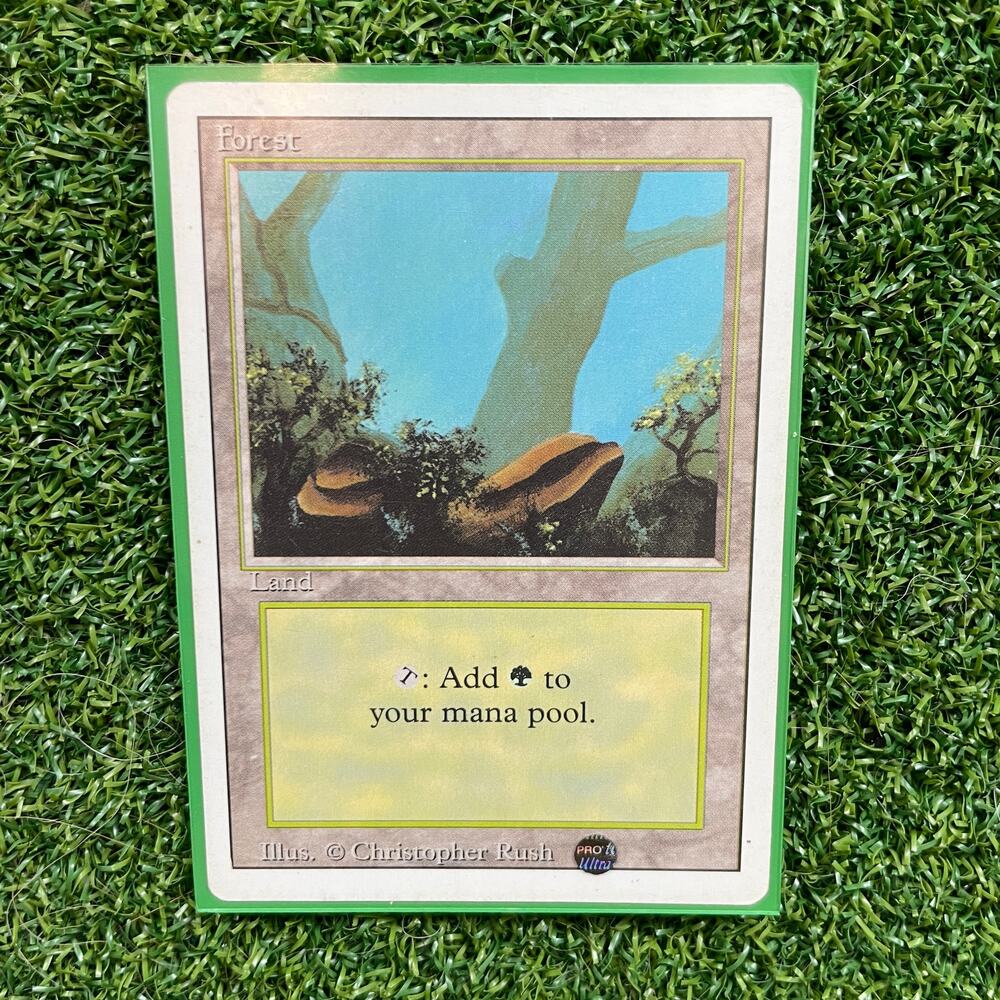 MTG Forest Vintage Basic Land Christopher Rush Art Magic Card LP